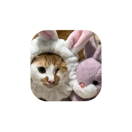 9ad3769c 0b2a 4baf bde4 5ac1b64cd161 s