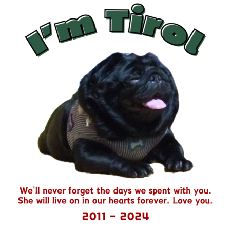 D26a65ec 47a8 4e31 b90b c8489cc8a54b s