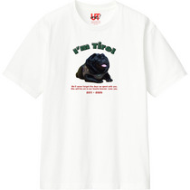 Bd23ffe4 5156 4bc7 9bc7 62a796ee513c 110 print s