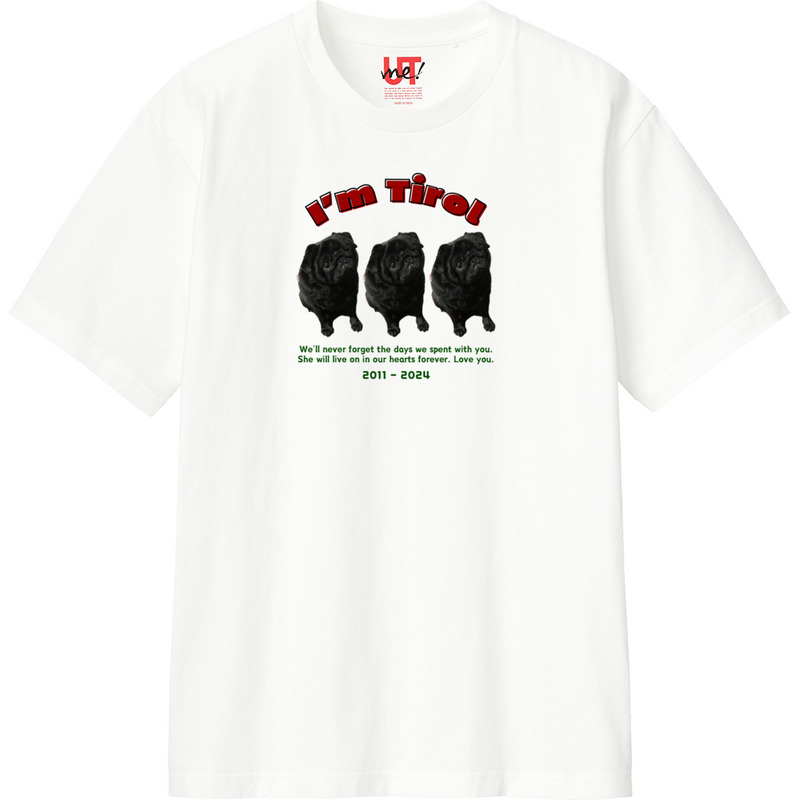 E686eed8 aaf9 47b8 b336 2ce935cc65a6 110 print ll