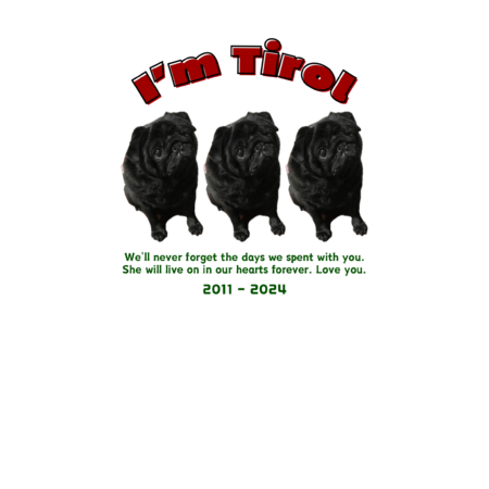 E686eed8 aaf9 47b8 b336 2ce935cc65a6 s