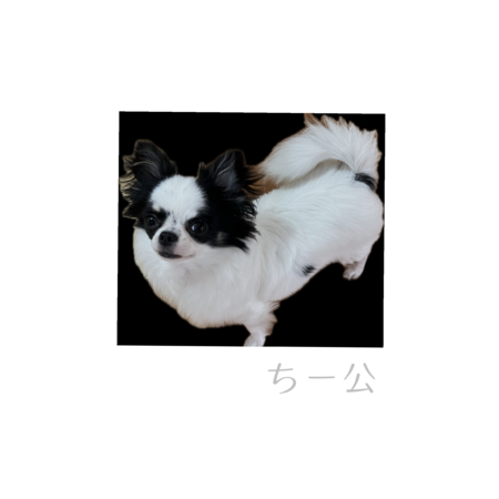 A28bea7b 6f44 4f71 964c 987cd3839cd6 s