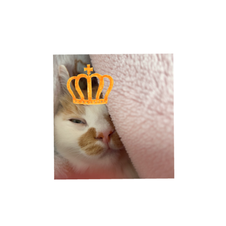 58a2d408 c5a8 4af8 b3e3 08404a990b80 s