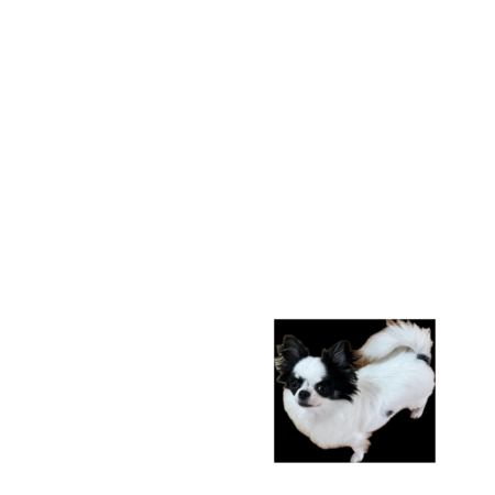 F0175956 05b4 4177 87a4 0c46dffecf39 s