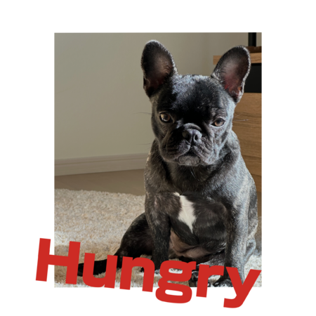 86aa5afe 2272 43e3 96e7 44f3fc1139d1 s