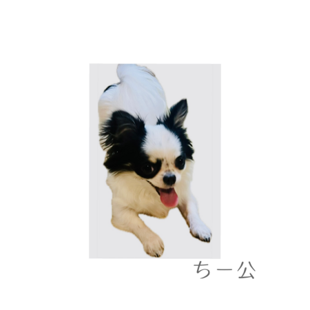 75e90215 5153 4eb9 8fb0 83a49325e821 s