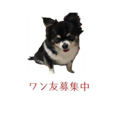 64603c15 2d8e 485f af78 195fde938af5 s