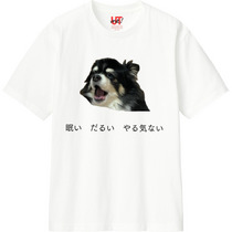 559be0d8 efac 4079 b6d9 bd19def0bc43 110 print s