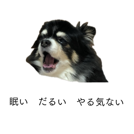 559be0d8 efac 4079 b6d9 bd19def0bc43 s