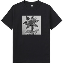 85423afd faef 4dd8 85ee 317f205a6a68 65 print s