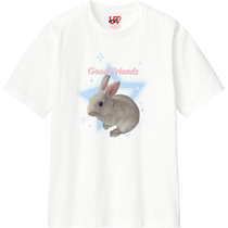 C718f91c ad43 4d2f 8bc9 69efbf35dd90 110 print s