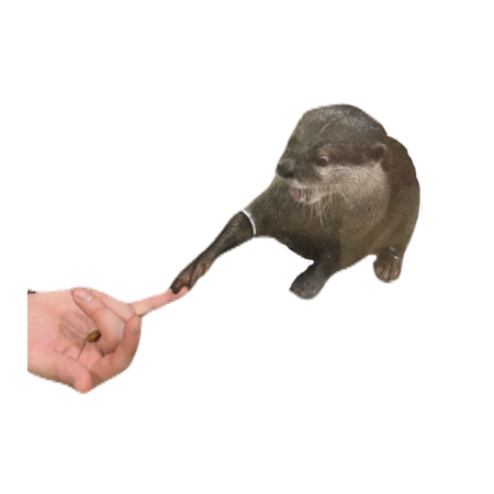 Be0eb74f 7a52 4cf3 bd3d b4969146630e s