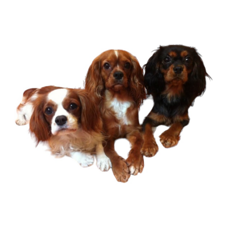 E6d0ae78 9551 41fe 9722 5123bd7065c0 s