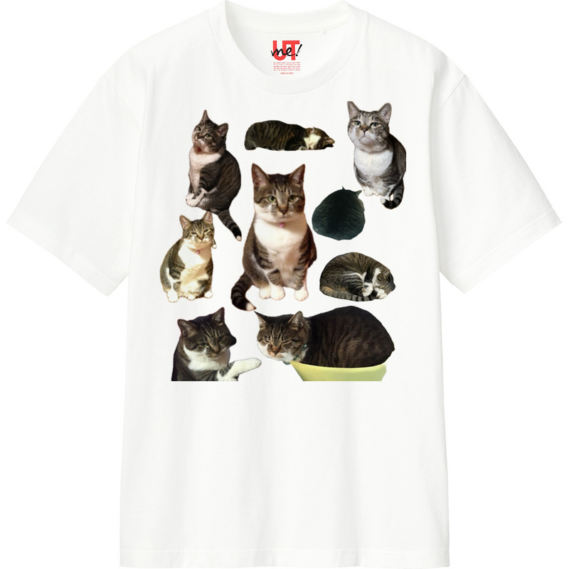 3d2029bb bcca 4fd4 8cf9 b5bd15382f75 110 print ll