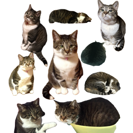 3d2029bb bcca 4fd4 8cf9 b5bd15382f75 s