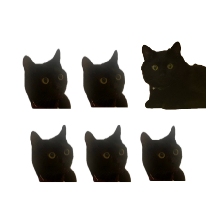 D8090aca 3945 434f 9051 ae9623e30683 s