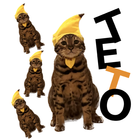 07eb4056 23d3 4068 a573 3a3c8e8d7ff0 s