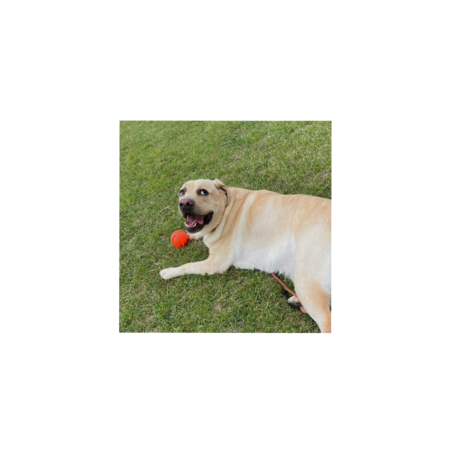 6125e23b 3207 4af6 a31a 2a7040fe04b0 s