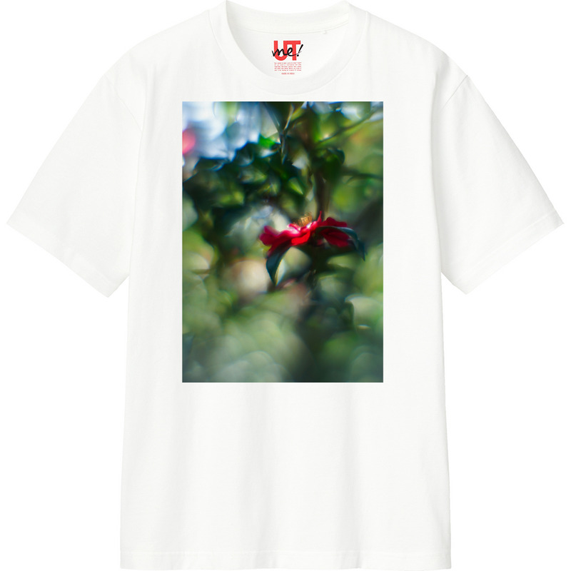 Fe7f2578 da4c 4fbf b84d a82f15a0eaa1 110 print ll