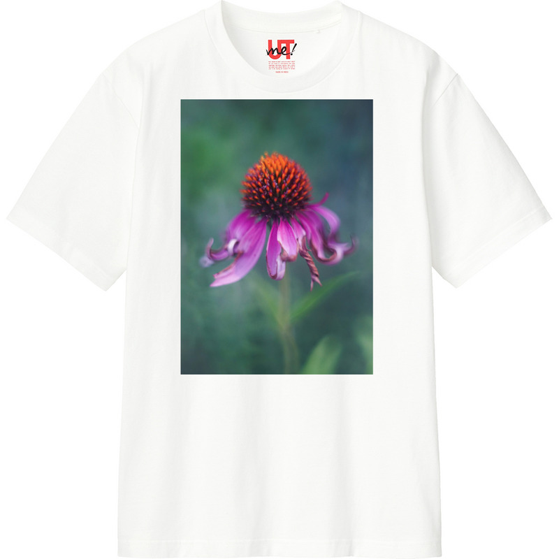 C81c61f3 a470 481a a72a 61ecec633414 110 print ll