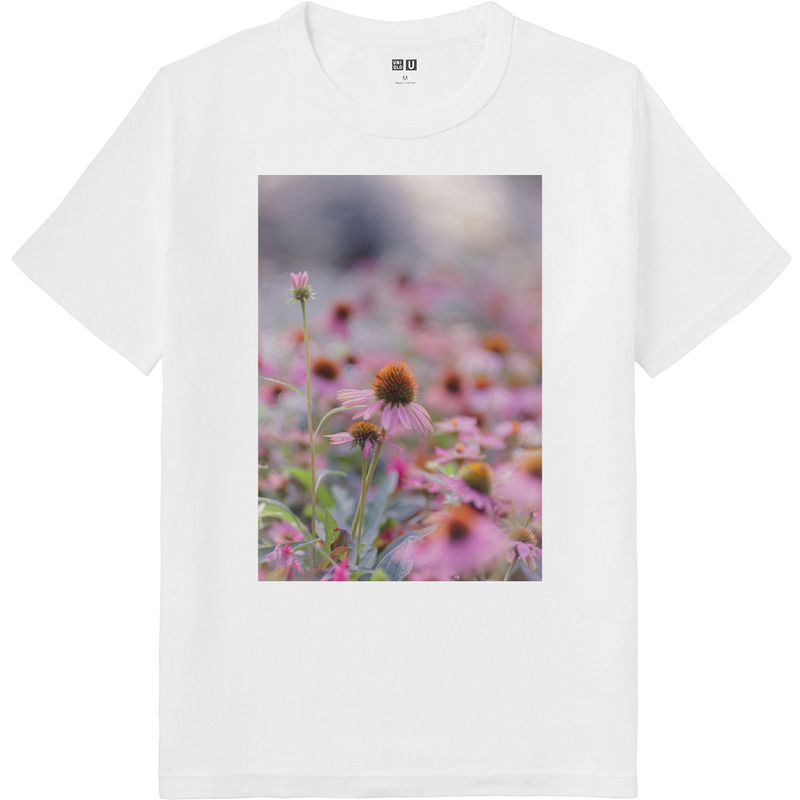 580c8b4c aea5 4846 bd80 a28fa403ca8e 64 print ll