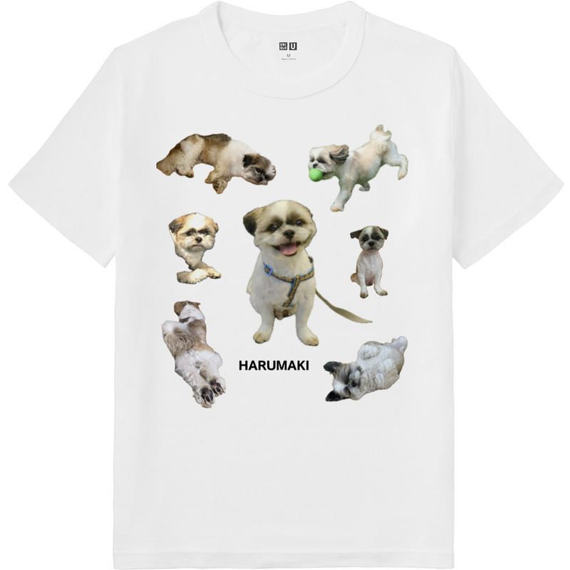 F7dfea0e 9697 42c3 bc2a b4b0092db8c6 64 print ll