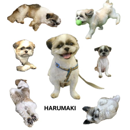 F7dfea0e 9697 42c3 bc2a b4b0092db8c6 s