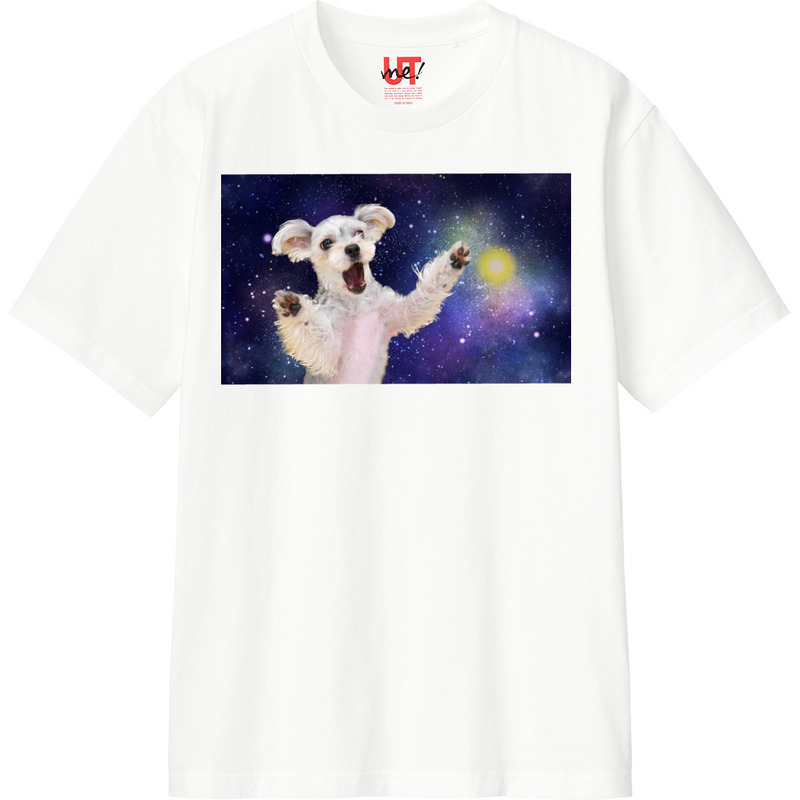 8e3dbd89 edf2 44b7 bb16 0e8024af8152 110 print ll