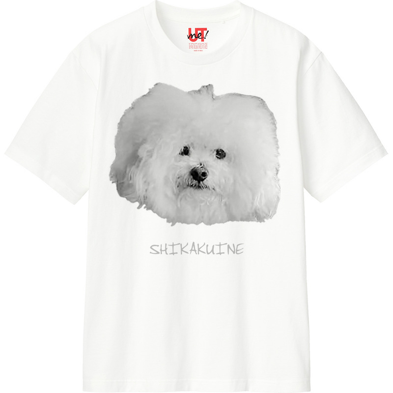 45d8ea16 30c5 4a8e 940c 452e375f0008 110 print ll