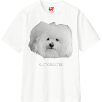 45d8ea16 30c5 4a8e 940c 452e375f0008 110 print s