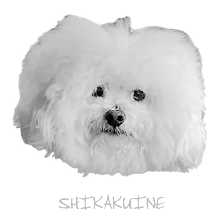 45d8ea16 30c5 4a8e 940c 452e375f0008 s