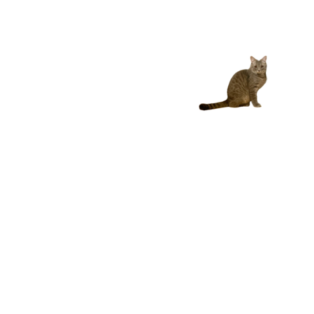 Bf666128 49b2 43b9 a2f4 d5e968547c46 s