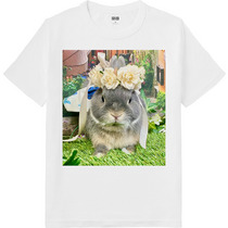 3676782a c072 48f8 8a22 b1e861bc9701 64 print s