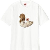 F5d282c7 aedb 43be bf0d 84cdc3972239 110 print s
