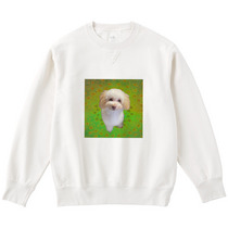 94635de6 b450 4707 a475 5eff853fedd8 122 print s