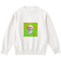 4235c199 3f6d 4a54 9430 3d225d72a0c3 122 print s