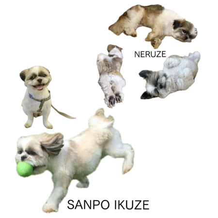 7c9e0b71 9163 40a9 b6b8 09929b782c57 s