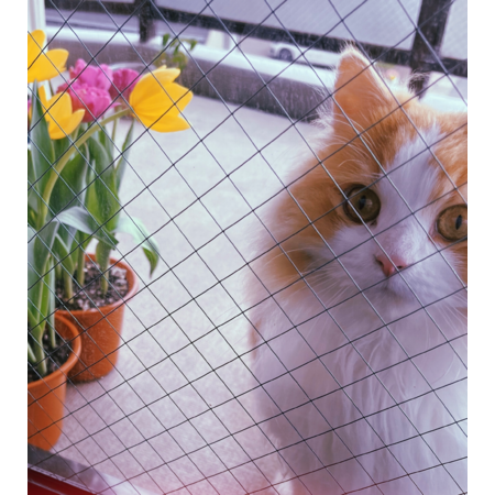 Cf74cf03 79bb 444c bf95 cc61cf139ac5 s