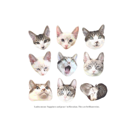 736f78a5 a0ac 4d1e bc28 07bc9f037914 s