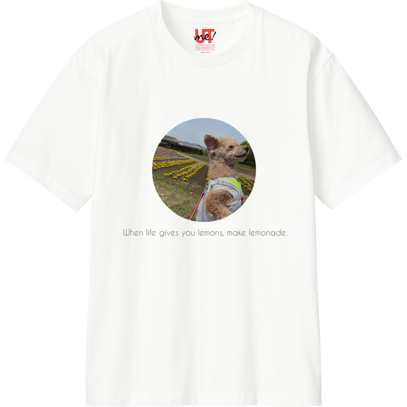 58025881 b577 4dbf b974 547c0038714e 110 print ll