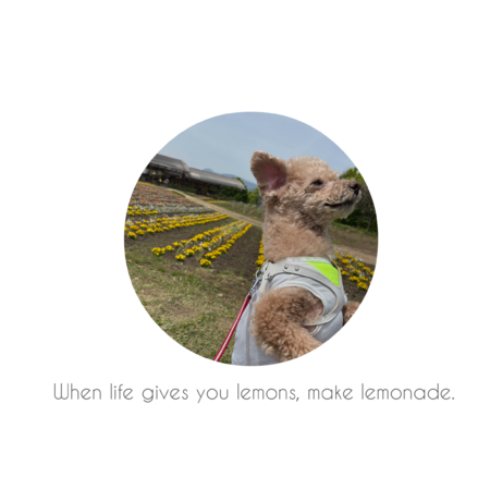 58025881 b577 4dbf b974 547c0038714e s