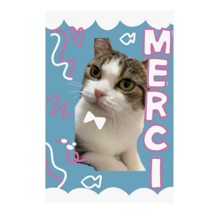 8c49279e a22f 46fd aedf d86b62ac9d99 s