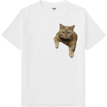 1ab7d24c 0cc5 4237 b81d d3f435d795d4 64 print s