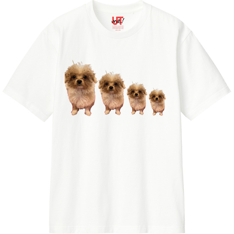 01486c9a 2d2e 461d 8125 3186c5e689af 110 print ll