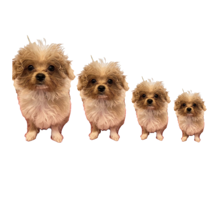 01486c9a 2d2e 461d 8125 3186c5e689af s