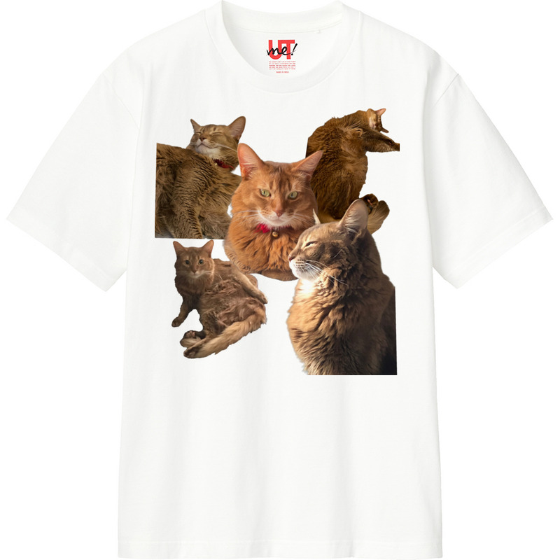 7fcbb47a 8490 44b3 a2fb e8e4deb3844f 110 print ll