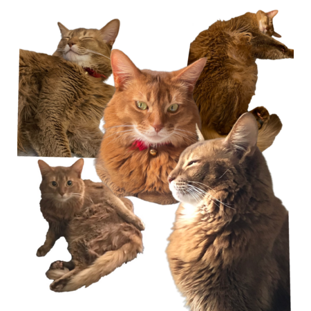 7fcbb47a 8490 44b3 a2fb e8e4deb3844f s