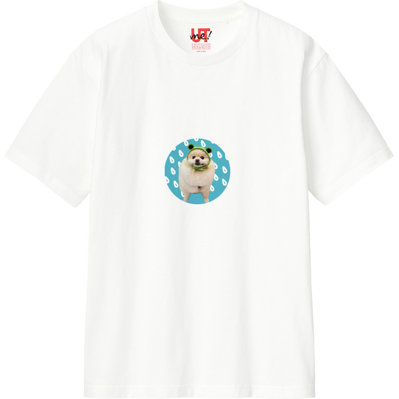 3aeb5d72 d08d 4bb4 8bd6 c95f4ae5a60e 110 print ll