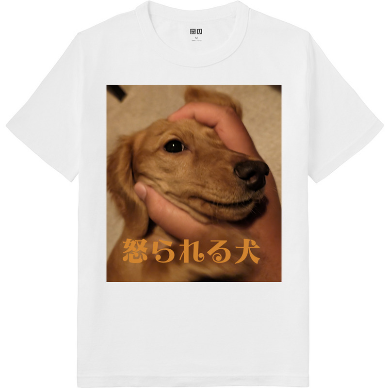 E5872981 ca29 458f a339 c12acf1f11d4 64 print ll