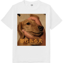 E5872981 ca29 458f a339 c12acf1f11d4 64 print s